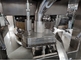 Ζωηρή μηχανή συμπίεσης ταμπλετών καμφοράς βιταμινών γάλακτος προμηθευτής