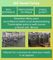 Απόδειξη πετρελαίου μηχανών συμπίεσης ταμπλετών χαπιών βιταμινών 45 διατρήσεων προμηθευτής